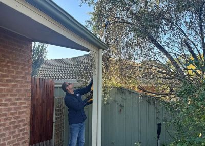 Tree Trimming